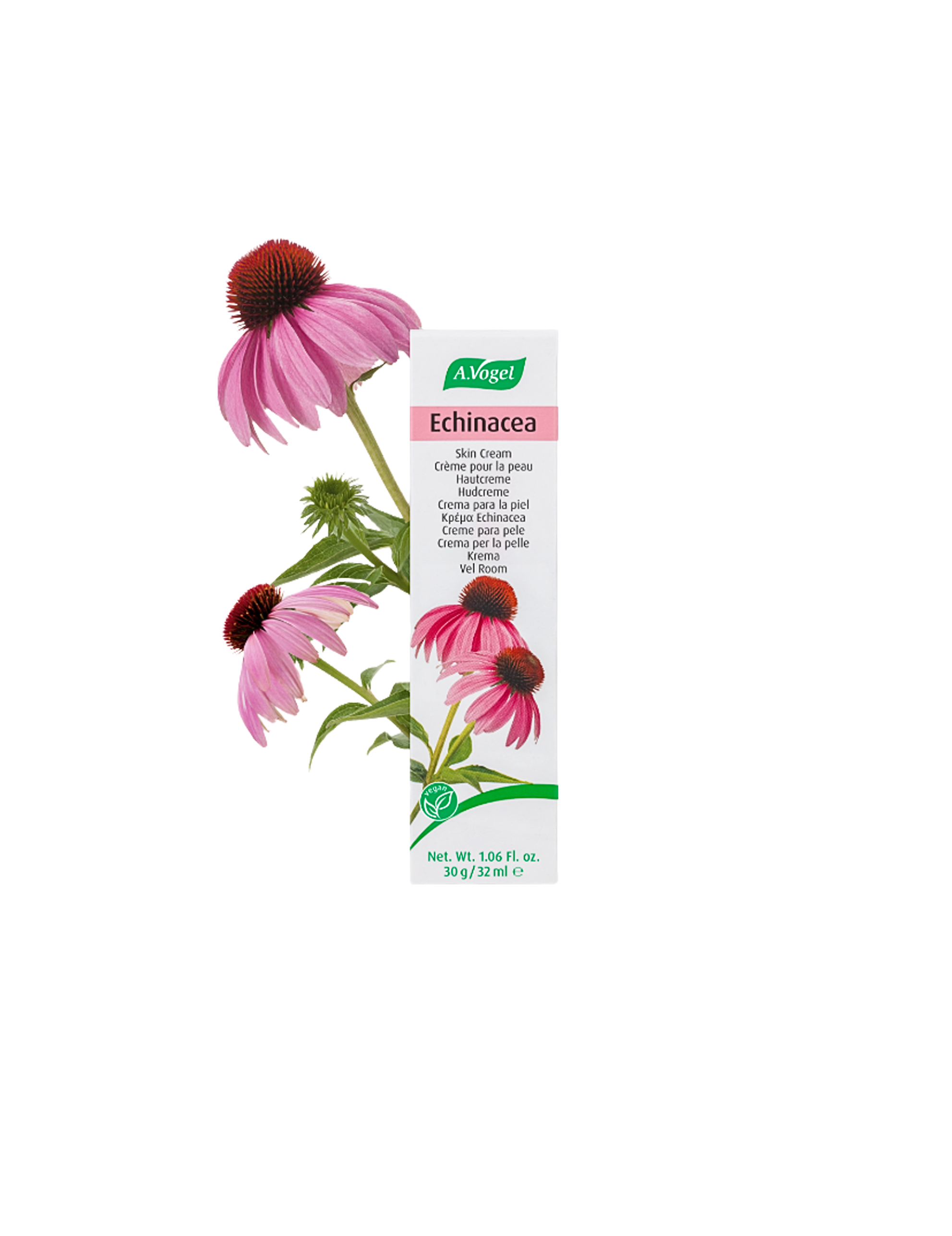 Echinacea Creme 30g