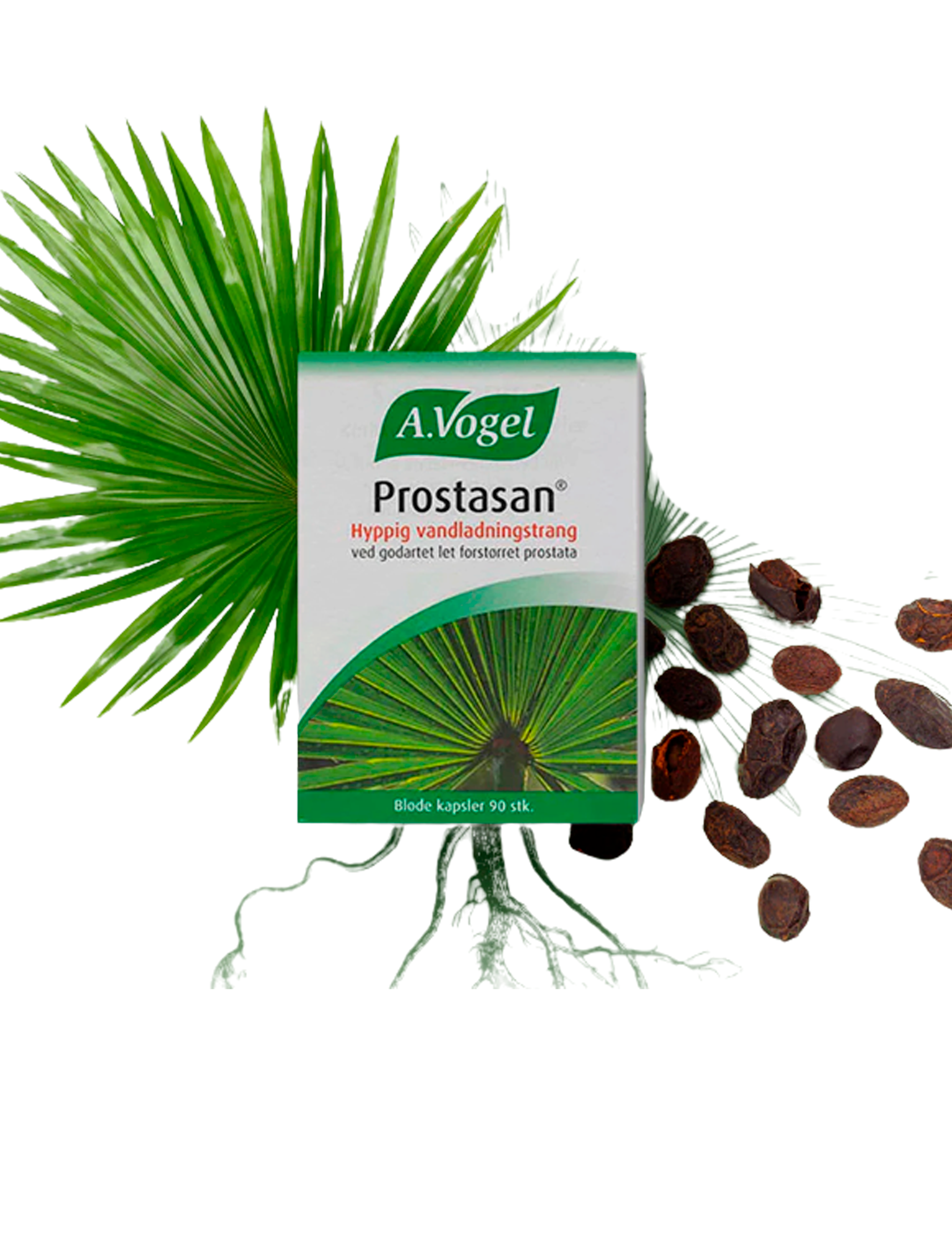 Prostasan 90 kapsler