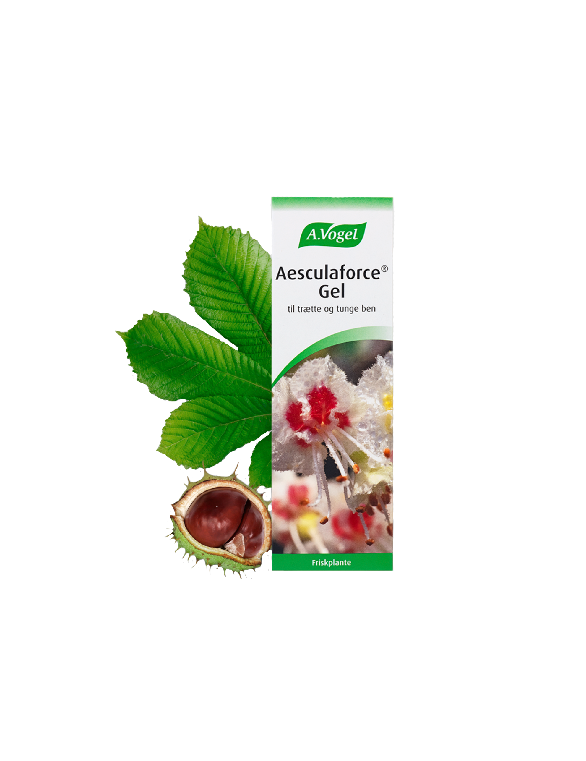 Aesculaforce Gel 100g