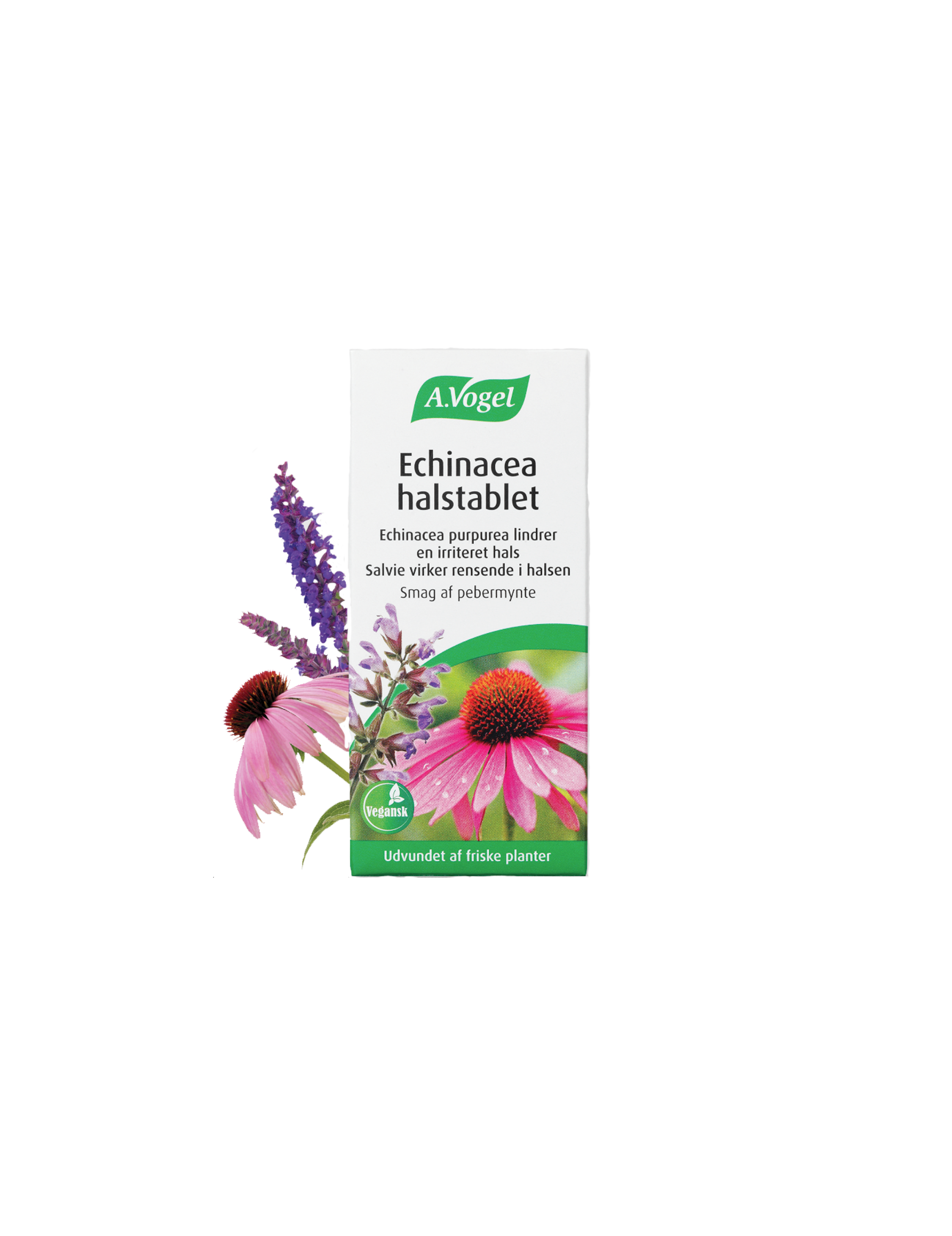 Echinacea halstablet (20stk)