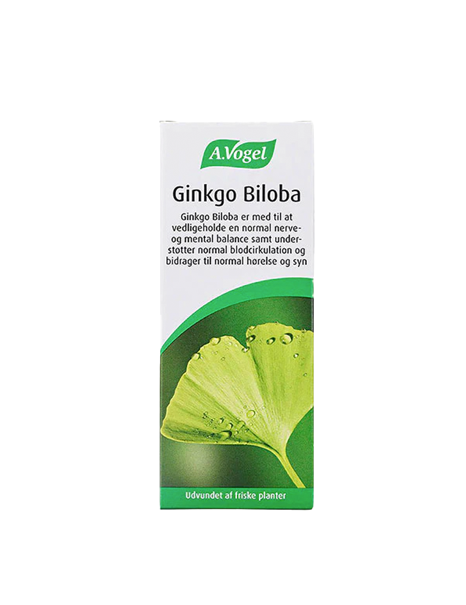 Ginkgo Biloba 100ml