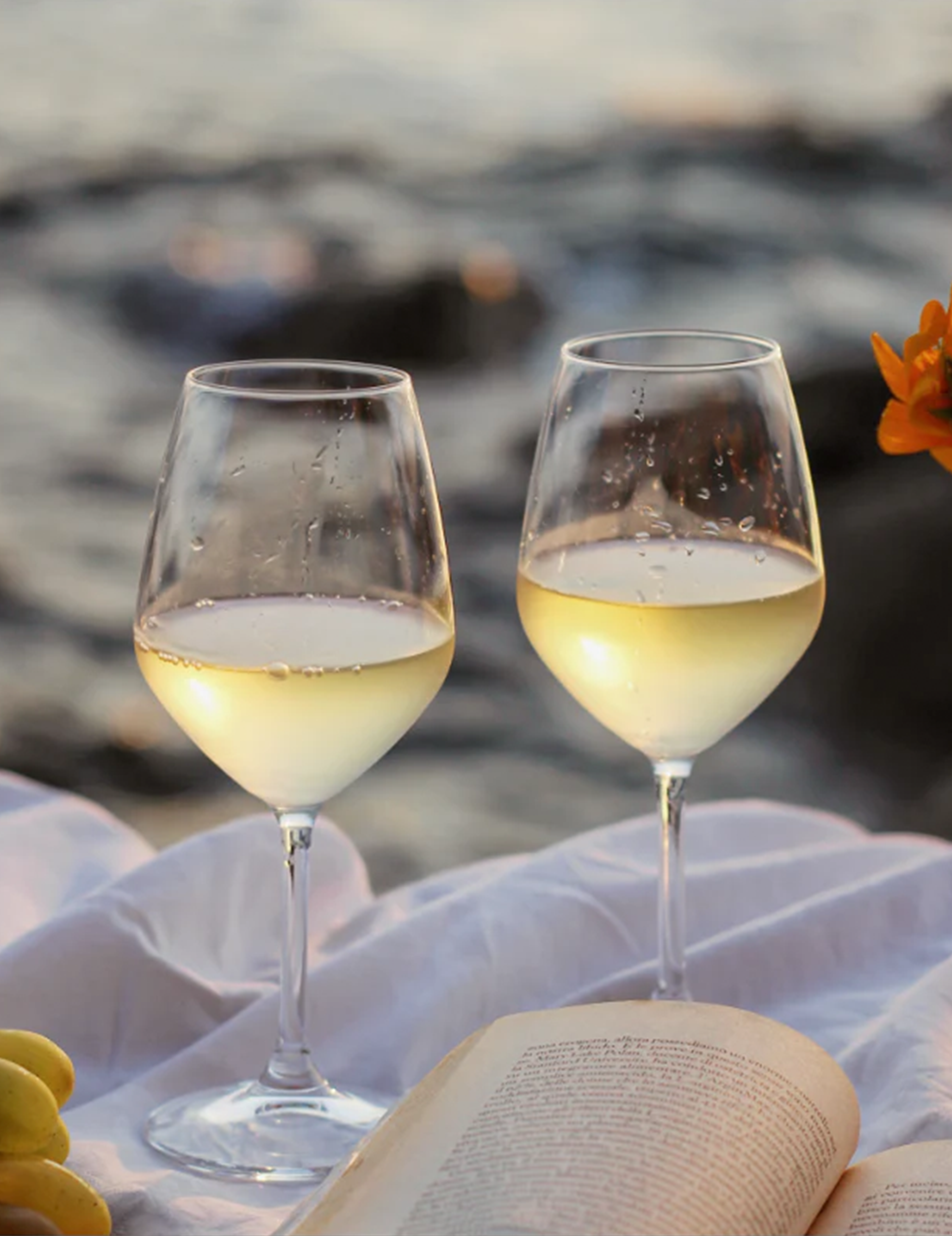 Le Sauvignon White Wine