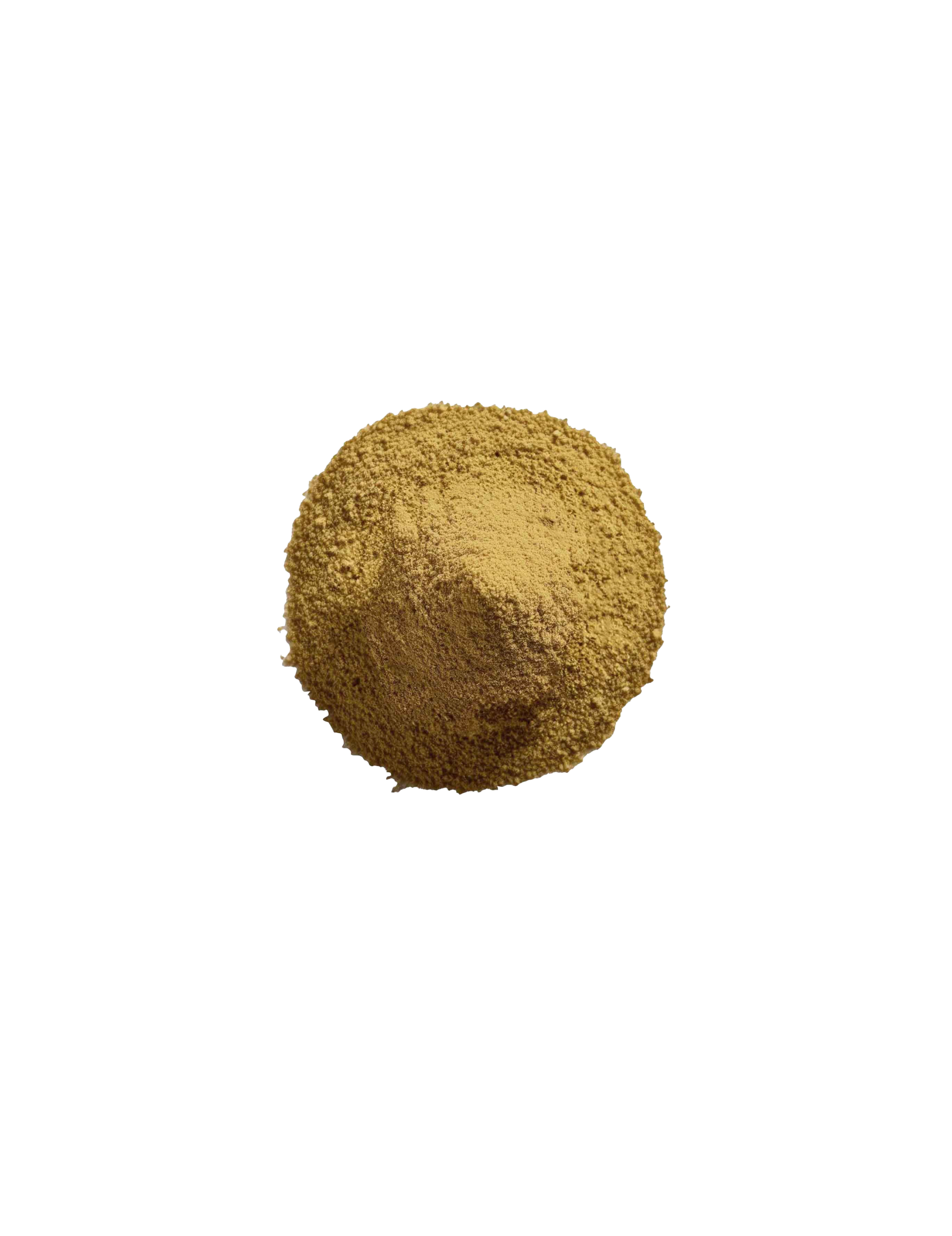 Økologisk Spidskommen