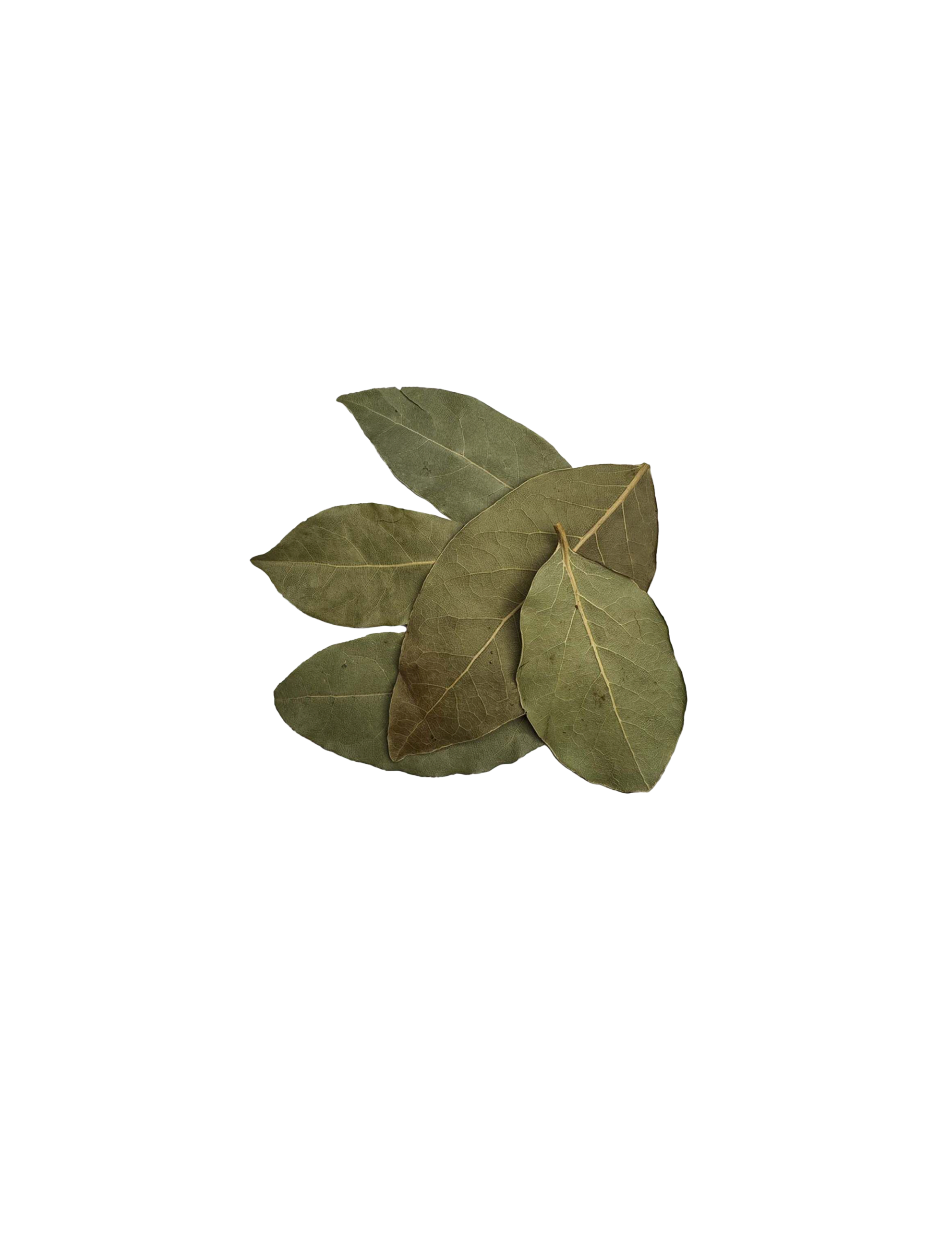 Økologiske Laurbærblade