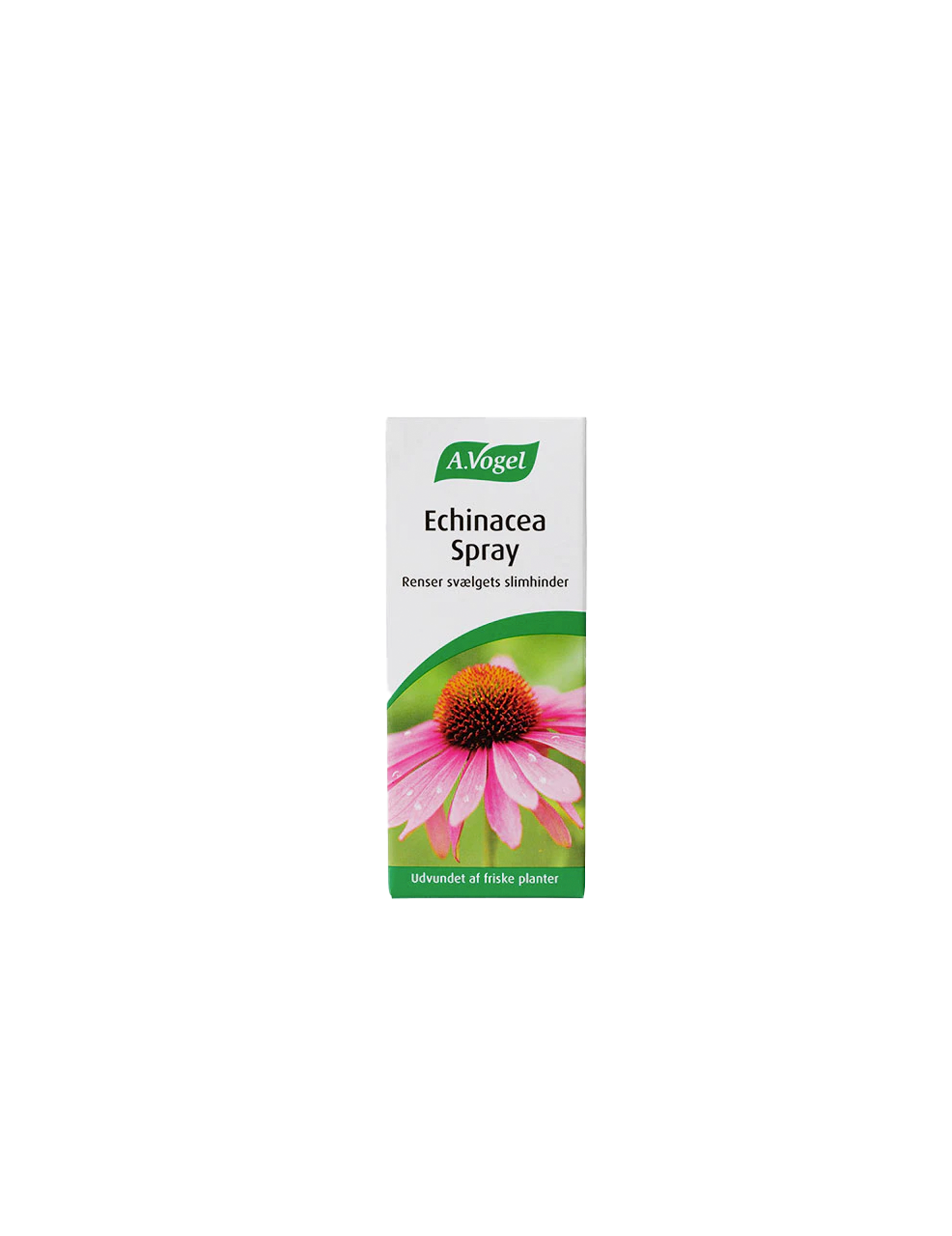 Echinacea Spray 30ml