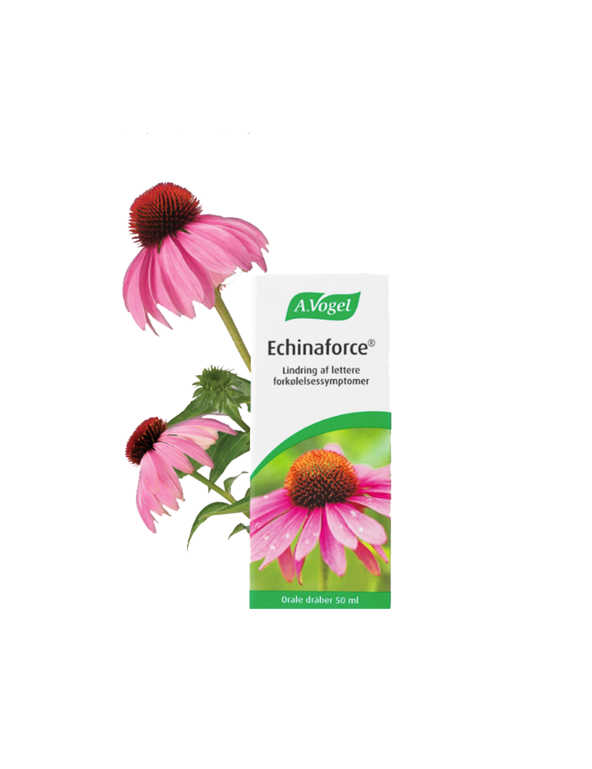 Echinaforce 50ml