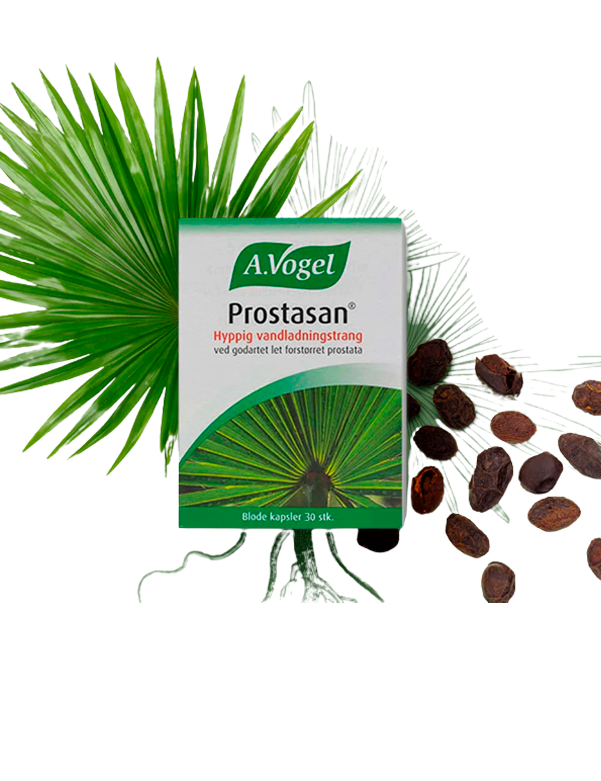 Prostasan 30 kapsler