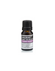 Æterisk Olie Ylang Ylang (10 ml)
