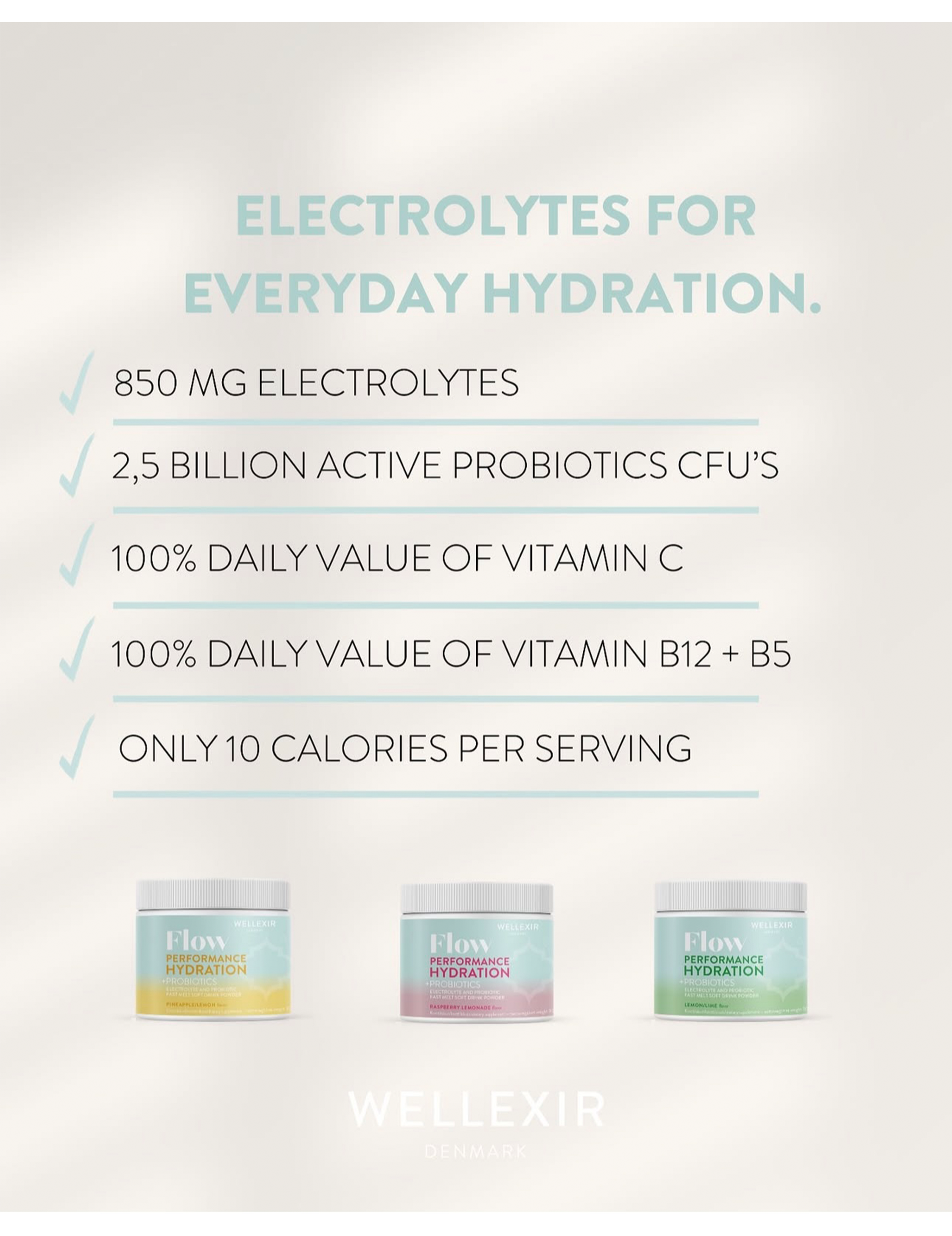 Flow Performance Hydration – Raspberry Lemonade (300g)