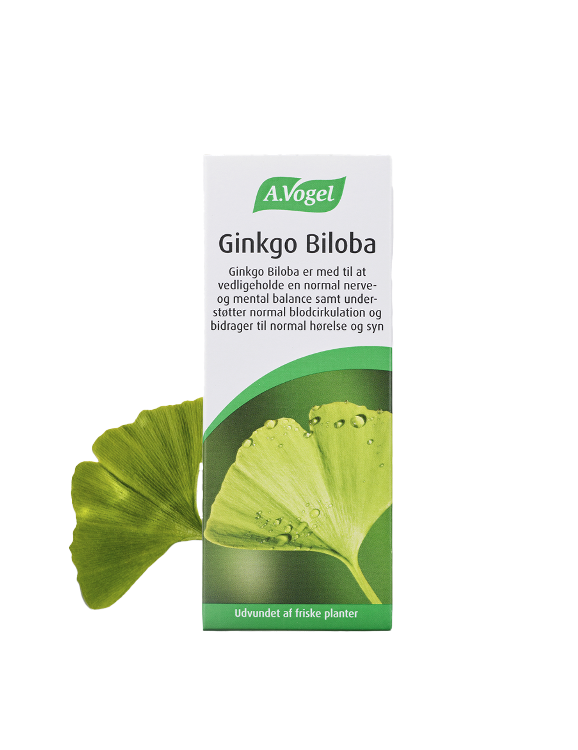 Ginkgo Biloba 100ml