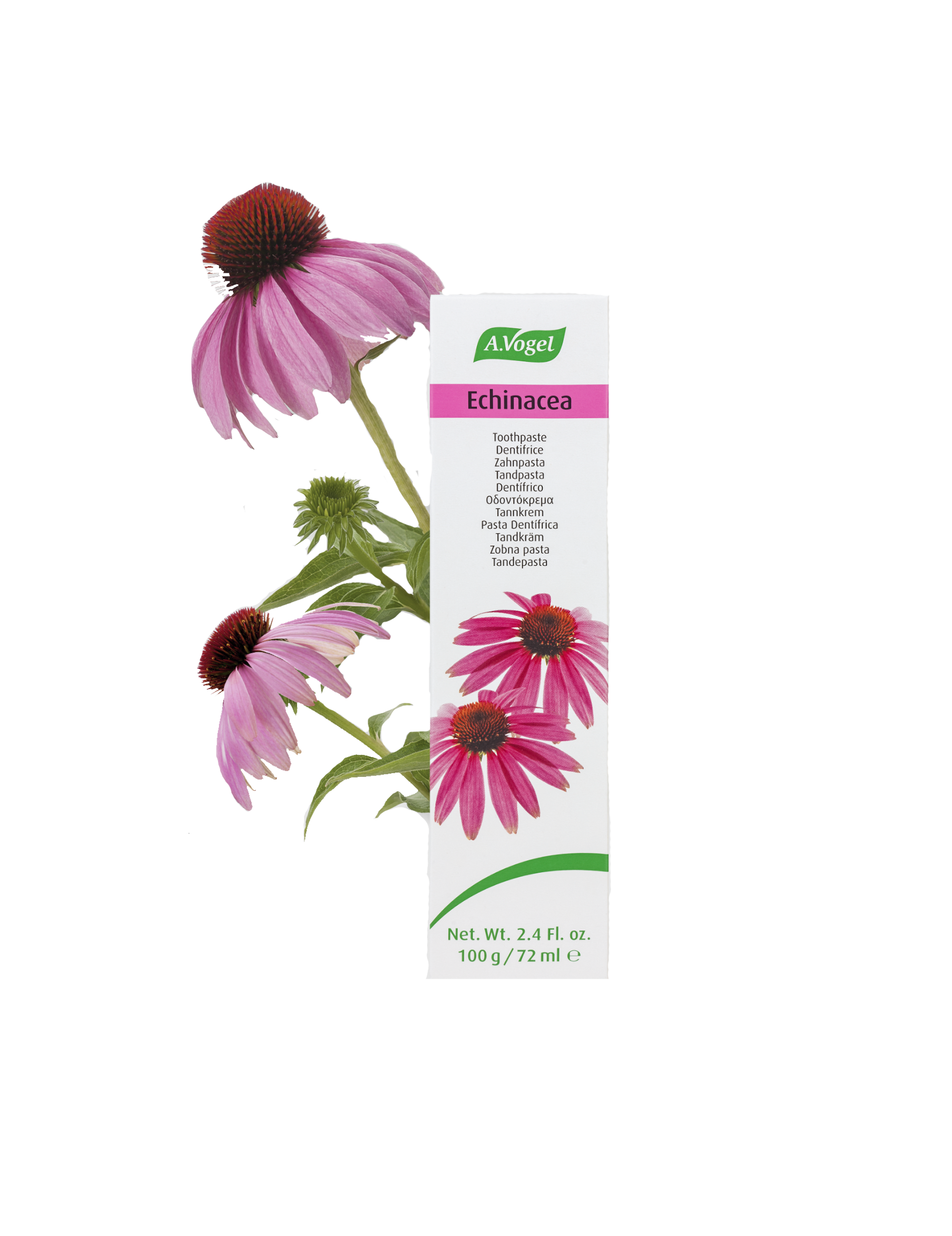 Echinacea Tandpasta (100g)