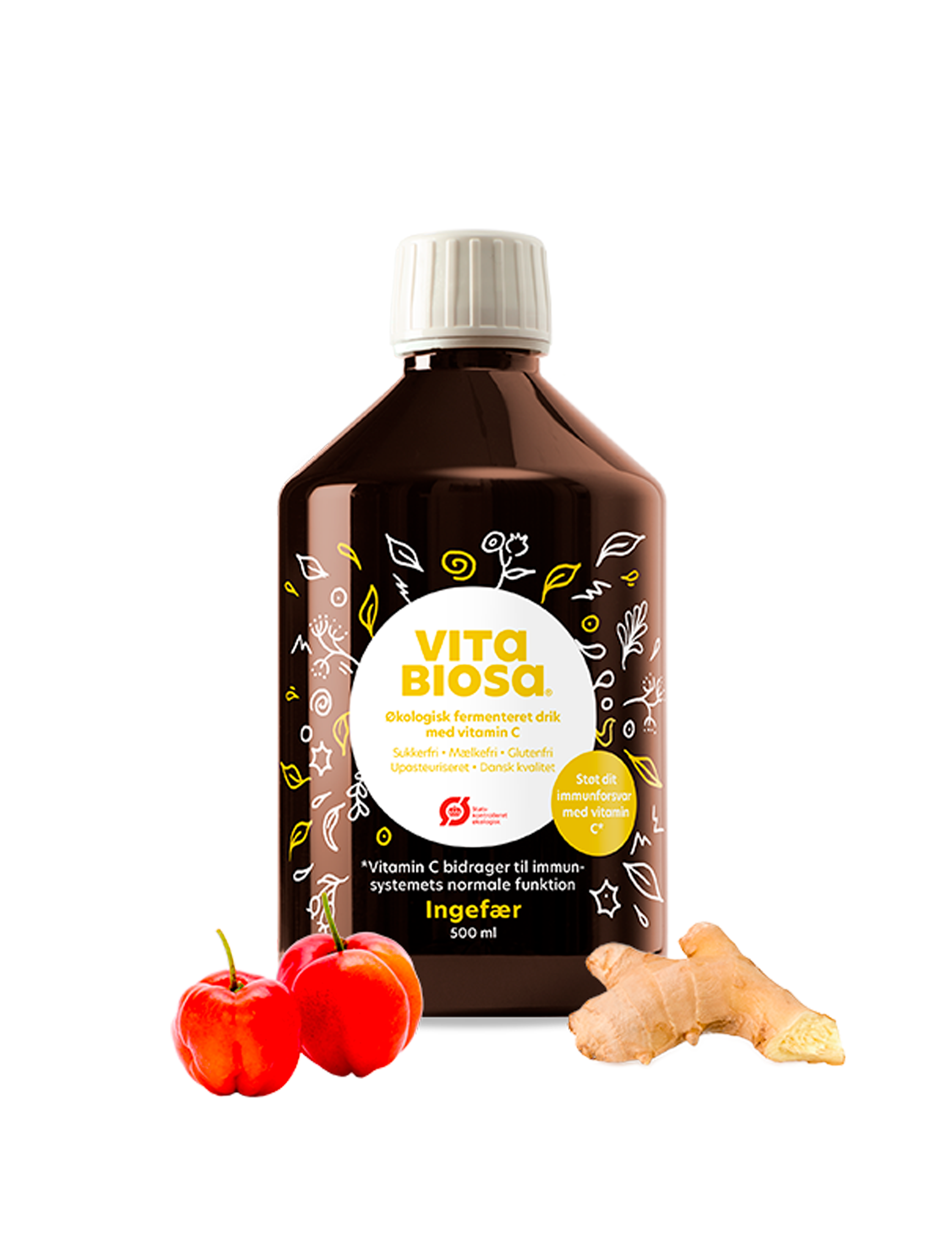 Vita Biosa Ingefær – 500ml