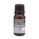 Æterisk Olie Salvie (10 ml)