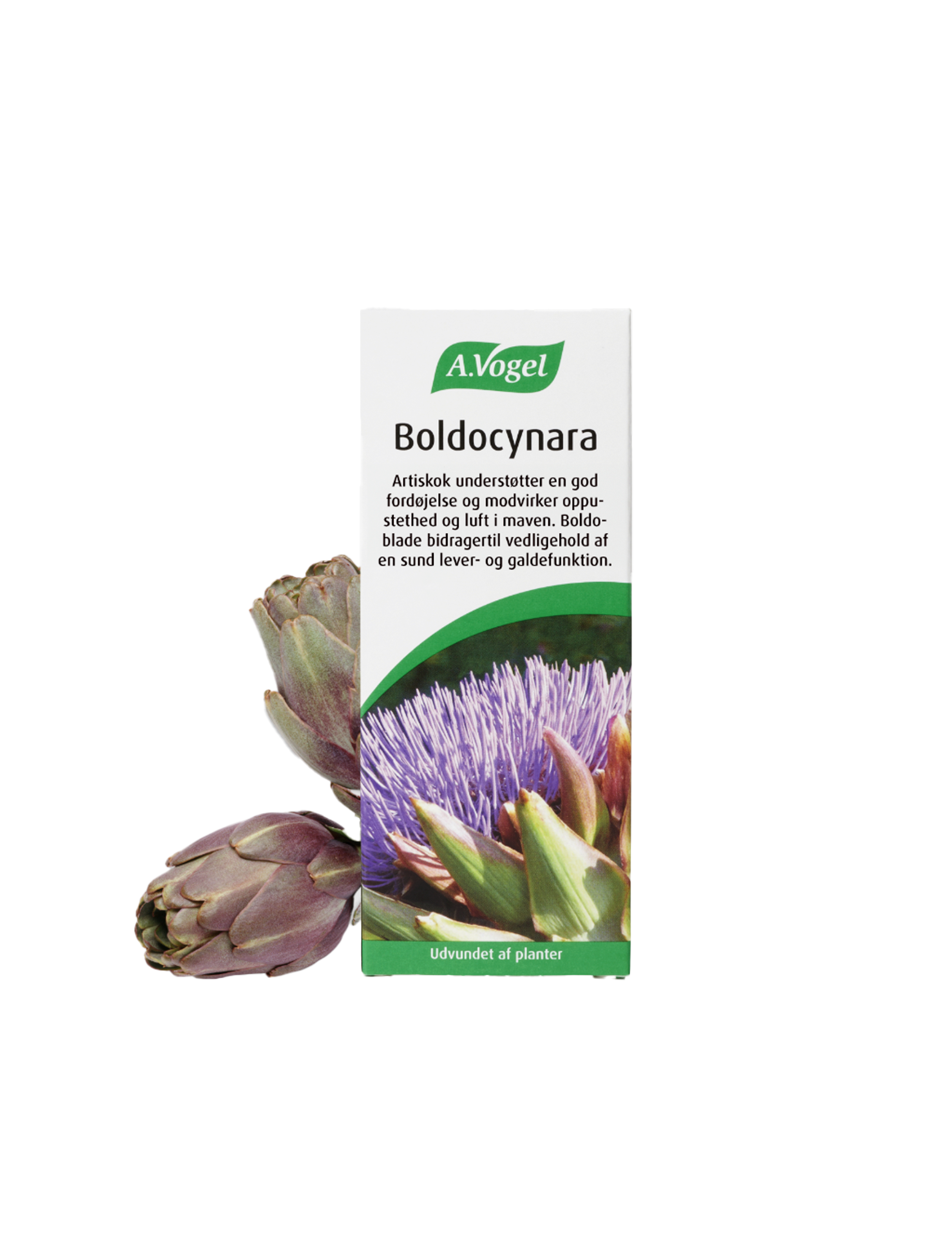 Boldocynara dråber 50ml
