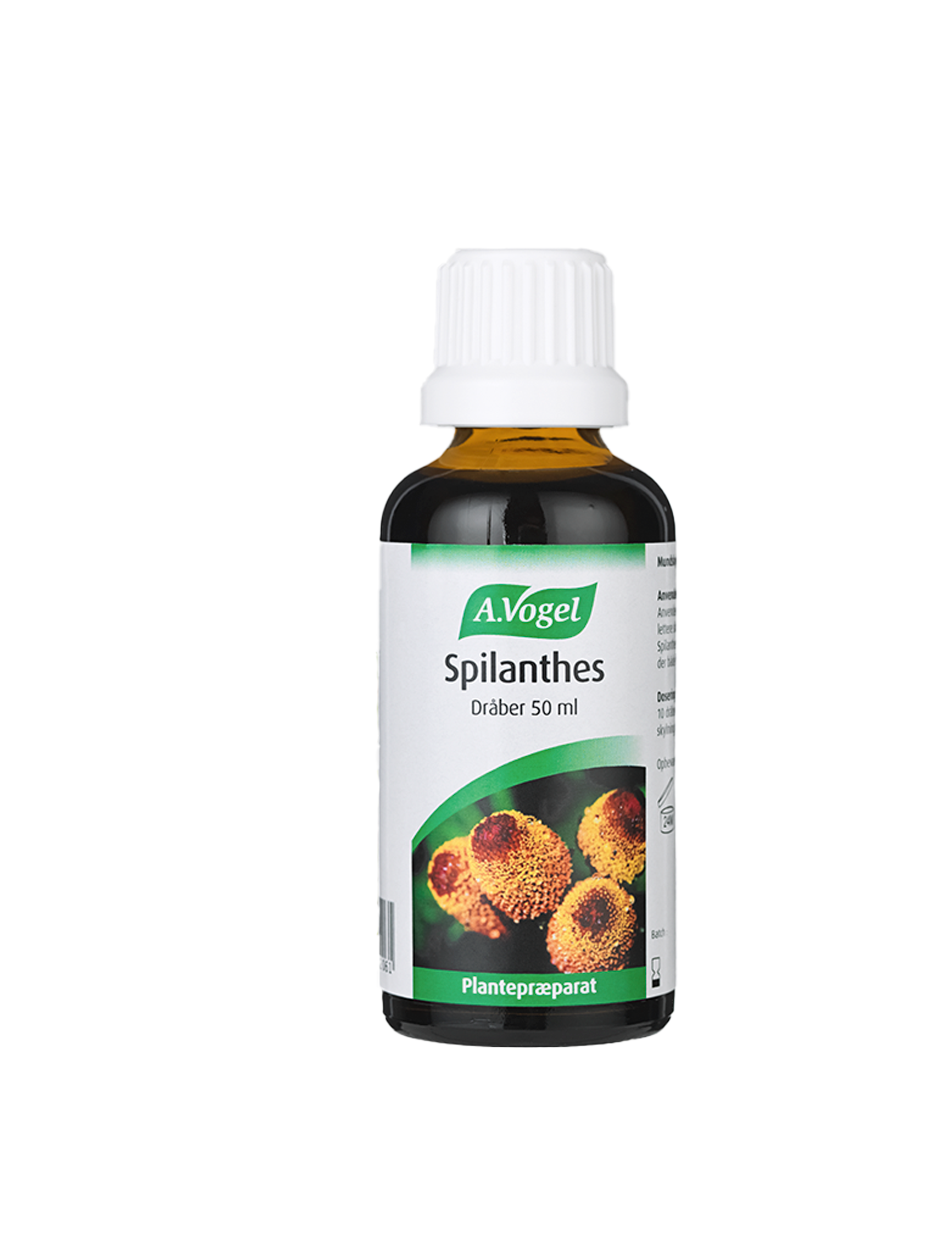 Spilanthes 50ml