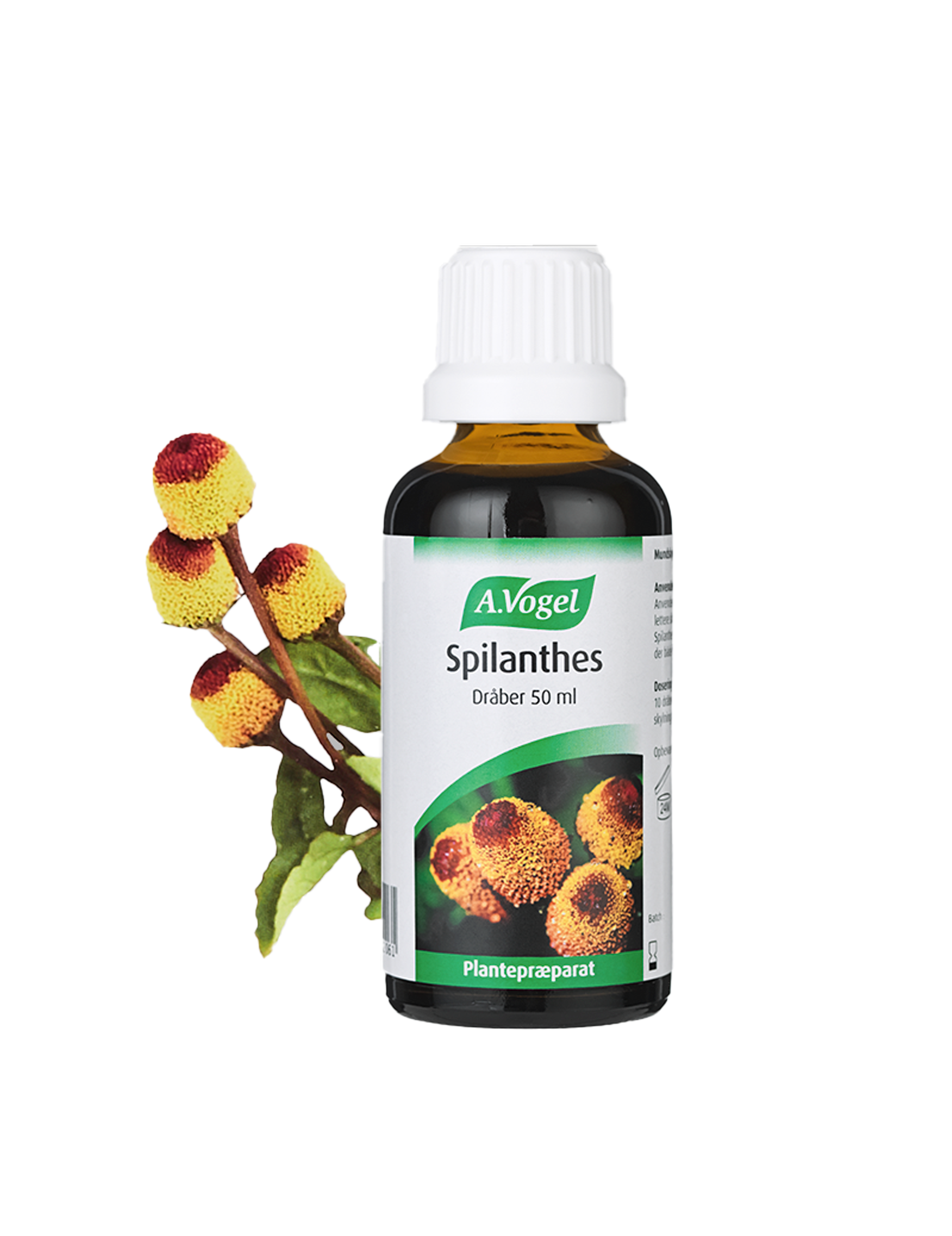 Spilanthes 50ml