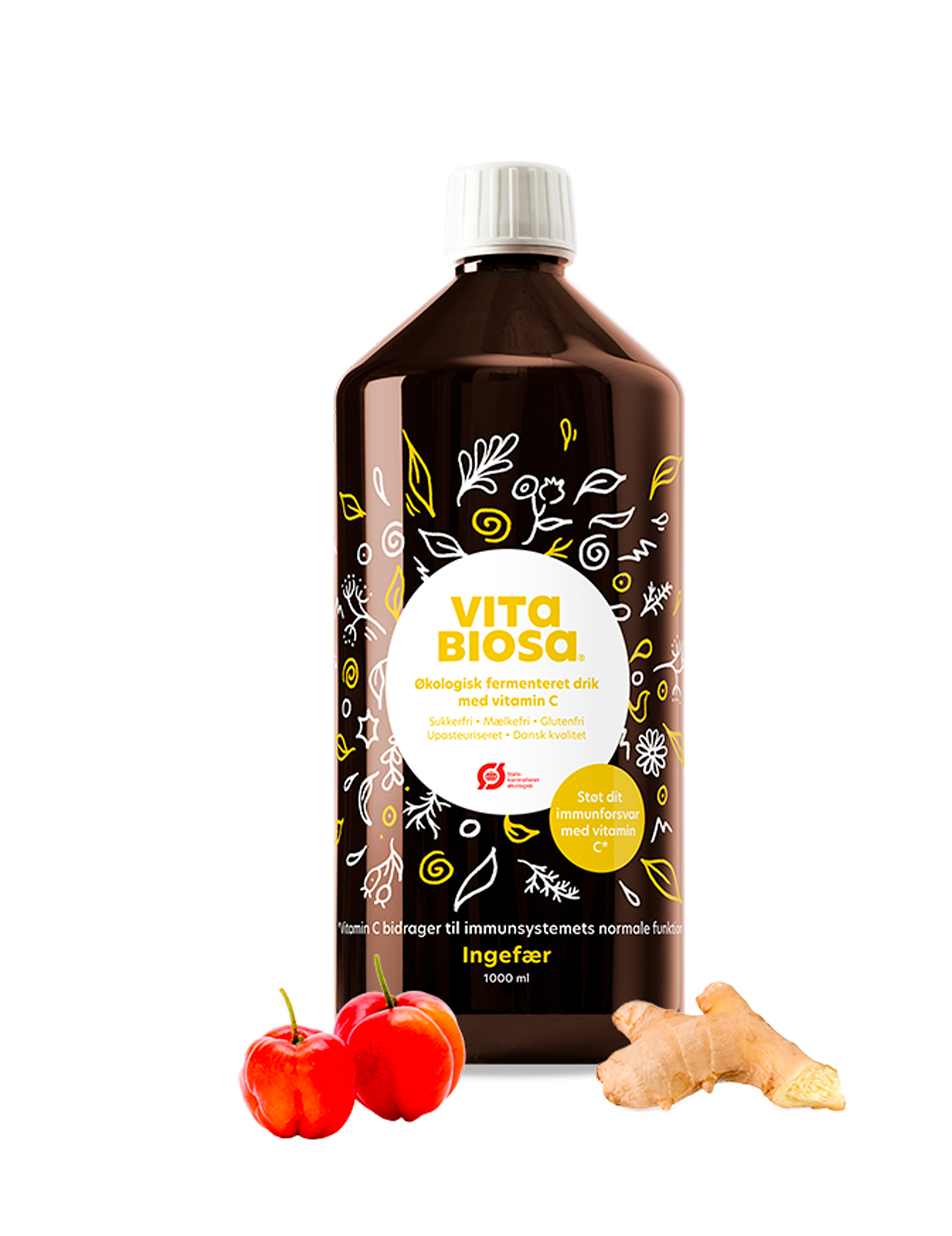 Vita Biosa Ingefær – 1L